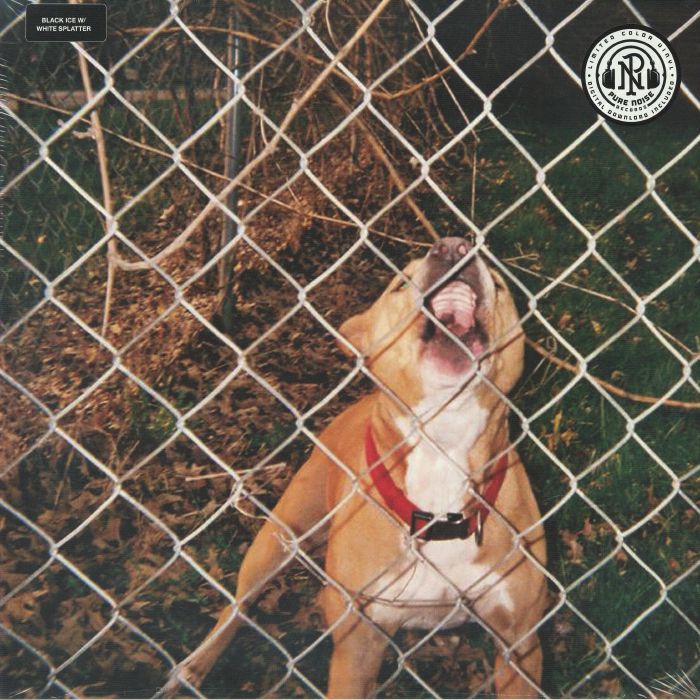 KNOCKED LOOSE, Pop Culture