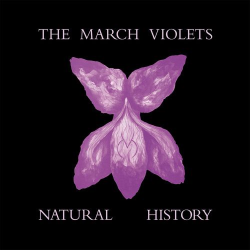 Natural History by March Violets, The